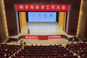 【菊鄉(xiāng)快評】經(jīng)濟(jì)工作大會上，桐鄉(xiāng)市委書記為何重點講巨石的電子布？