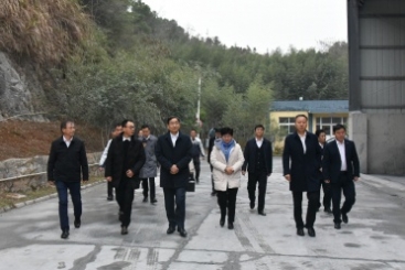 中國建材集團黨委書記、董事長周育先調(diào)研巨石九江鈣業(yè)公司